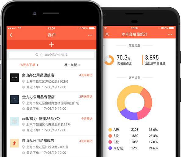 crm-portfolio-1